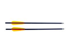 alt=